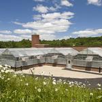 Harvard- Weld Hill Project- LEED Gold greenhouses [KlingStubbins project]